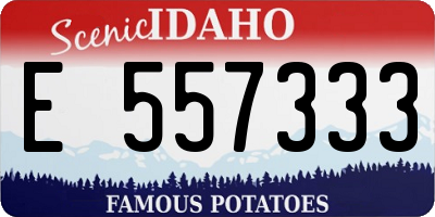 ID license plate E557333