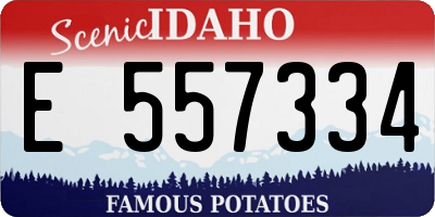 ID license plate E557334