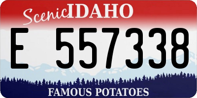 ID license plate E557338