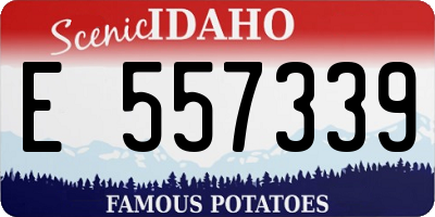 ID license plate E557339