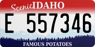 ID license plate E557346