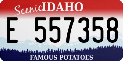ID license plate E557358