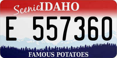 ID license plate E557360