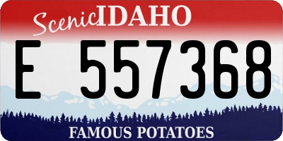 ID license plate E557368