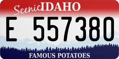 ID license plate E557380