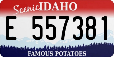 ID license plate E557381