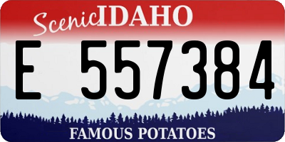 ID license plate E557384