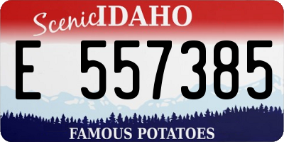 ID license plate E557385