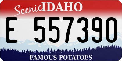 ID license plate E557390