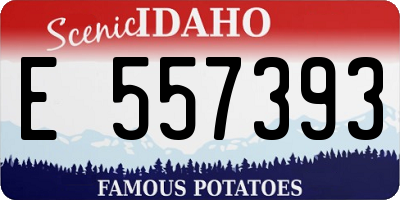 ID license plate E557393