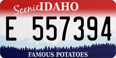 ID license plate E557394