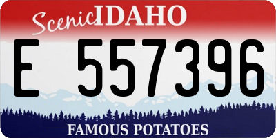 ID license plate E557396