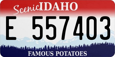 ID license plate E557403