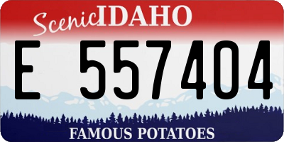 ID license plate E557404