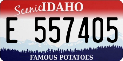 ID license plate E557405
