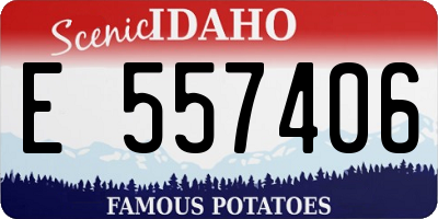 ID license plate E557406
