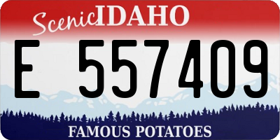 ID license plate E557409