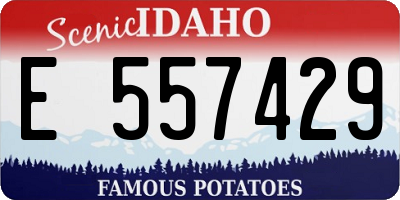 ID license plate E557429