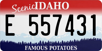 ID license plate E557431
