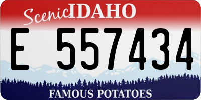 ID license plate E557434