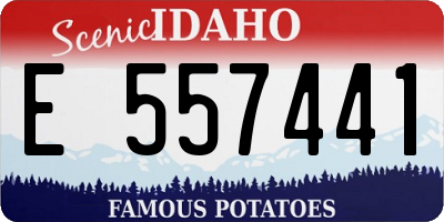 ID license plate E557441