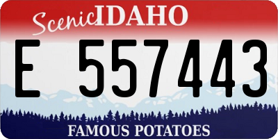 ID license plate E557443