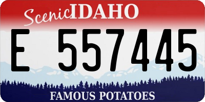 ID license plate E557445