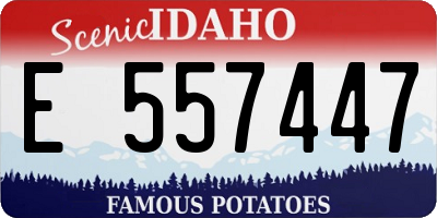 ID license plate E557447