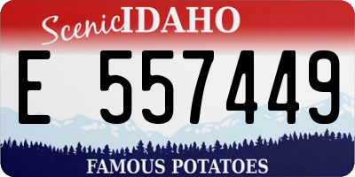 ID license plate E557449