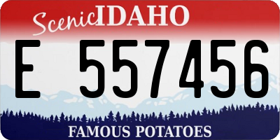 ID license plate E557456