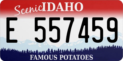 ID license plate E557459