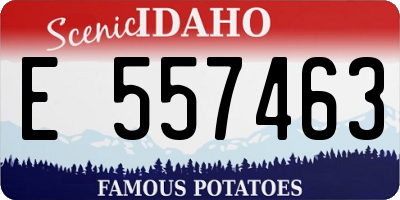 ID license plate E557463