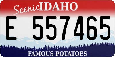 ID license plate E557465