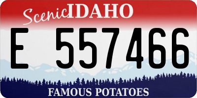 ID license plate E557466