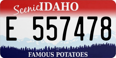 ID license plate E557478