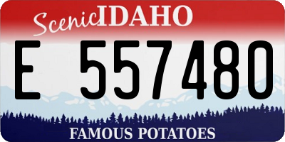 ID license plate E557480