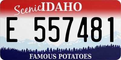 ID license plate E557481
