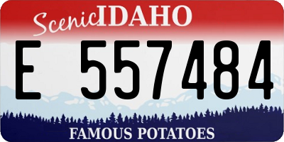 ID license plate E557484