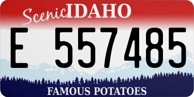 ID license plate E557485