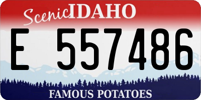 ID license plate E557486