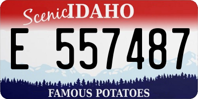ID license plate E557487