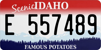 ID license plate E557489