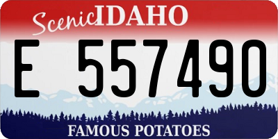 ID license plate E557490
