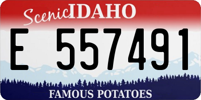 ID license plate E557491