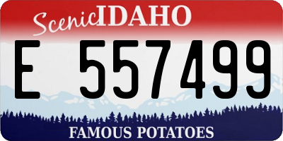 ID license plate E557499