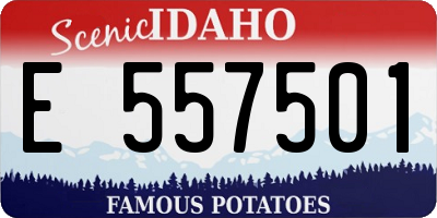 ID license plate E557501