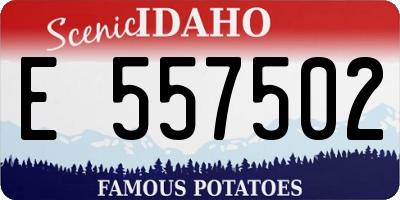 ID license plate E557502