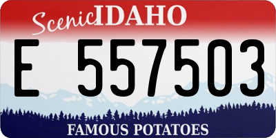 ID license plate E557503