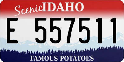 ID license plate E557511