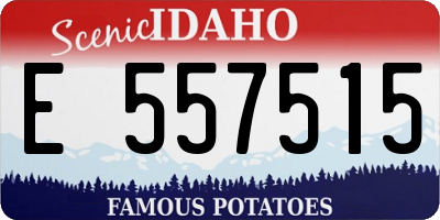 ID license plate E557515